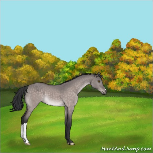 Horse Color:Platinum Brown Dun 