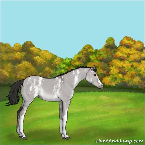 Horse Color:Platinum White Spotted Liver Red Dun 