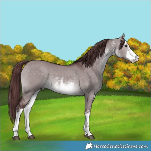 Horse Color:Platinum White Spotted Chocolate Brown Dun 