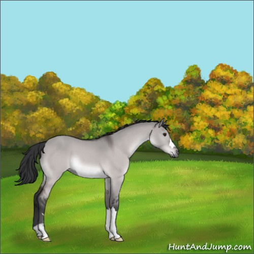Horse Color:Platinum Brown Dun 