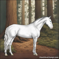 Horse Color:Perlino Leopard Rabicano 