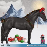 Horse Color:Smoky Black Rabicano 