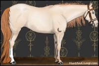 Horse Color:Amber Champagne Pearl