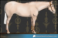 Horse Color:Chocolate Silver Sable Champagne Pearl