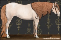 Horse Color:Sable Champagne Roan Pearl Sabino Rabicano 