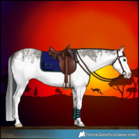 Horse Color:White Spotted Grullo Ice Splash Rabicano 