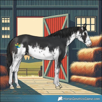 Horse Color:White Spotted Brown 