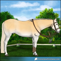 Horse Color:Palomino Onyx 