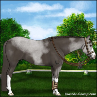 Horse Color:Smoky Black 