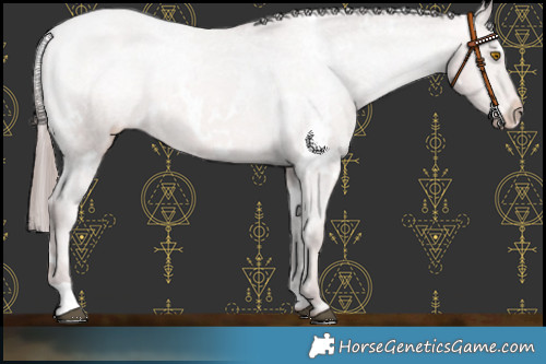 Horse Color:Platinum White Spotted Bay Pearl Appaloosa 