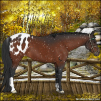 Horse Color:Brown Blanket 