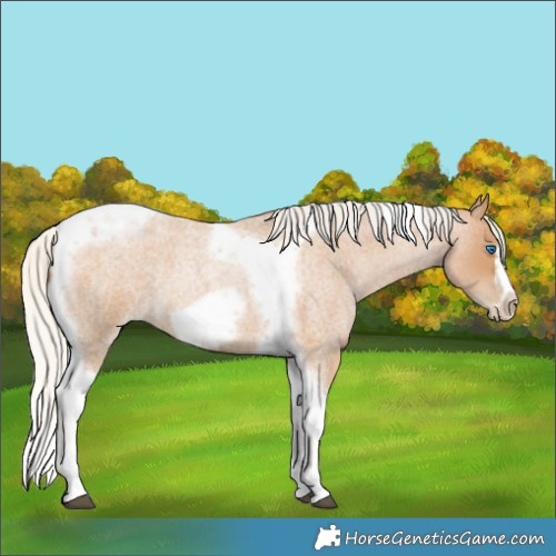 Horse Color:Silver Blue Roan Pearl Tobiano Frame 