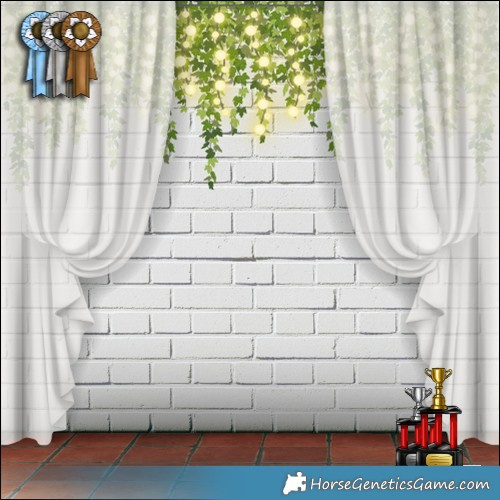 Horse Color:Liver Red Dun Splash Rabicano 