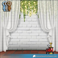 Horse Color:Liver Red Dun Splash Rabicano