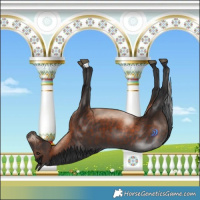 Horse Color:Brown Mushroom 