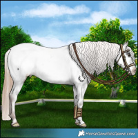 Horse Color:Liver Chestnut Near Fewspot