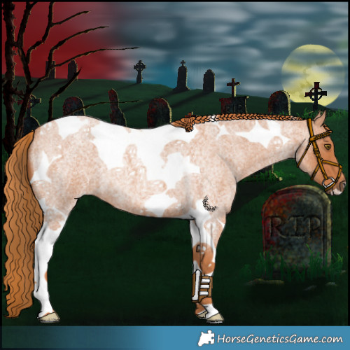 Horse Color:Red Roan Tobiano 