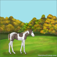 Horse Color:Painted Silver Black Splash Tobiano 
