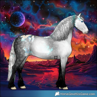 Horse Color:Gray Silver Amber Cream Champagne Dun Splash Appaloosa
