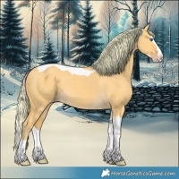 Horse Color:Painted Silver Amber Cream Champagne Dun Splash Tobiano 