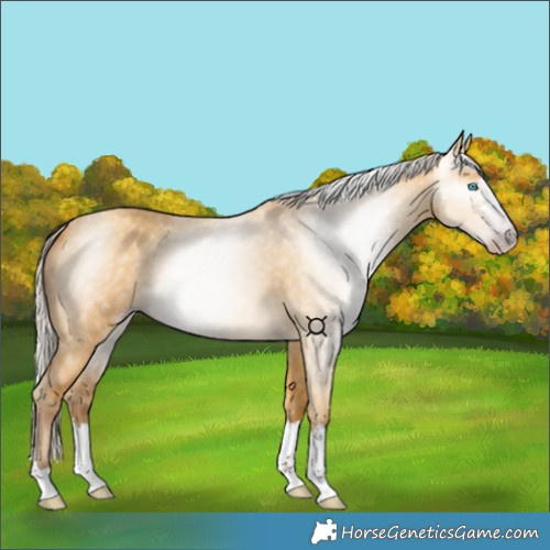Horse Color:Gray Silver Amber Cream Champagne Dun 