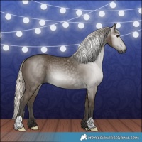 Horse Color:Gray Silver Smoky Black 