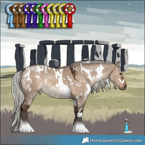 Horse Color:White Spotted Silver Brown Dun 
