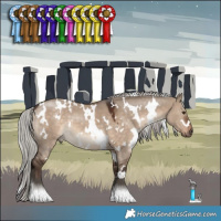 Horse Color:White Spotted Silver Brown Dun 