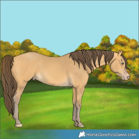 Horse Color:White Spotted Amber Cream Champagne 