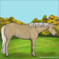 Horse Color:Silver Smoky Black 