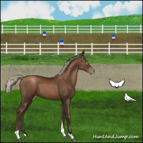 Horse Color:Gray Silver Black Pearl Tobiano 