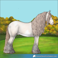 Horse Color:Amber Champagne Dun Frame Appaloosa 