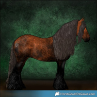 Horse Color:Void White Spotted Bay Roan 