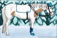 Horse Color:Palomino Splash Tobiano 