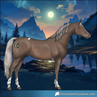 Horse Color:Silver Black Tobiano