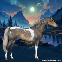 Horse Color:Silver Smoky Blue Roan Tobiano 