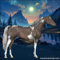 Horse Color:Silver Black Tobiano 