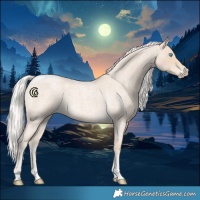 Horse Color:Silver Smoky Creme Roan Tobiano 