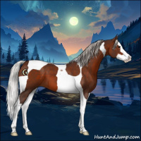 Horse Color:Silver Brown Splash Tobiano 
