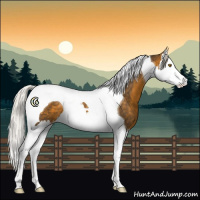 Horse Color:Silver Buckskin Splash Tobiano 