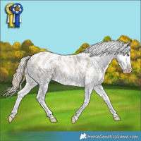 Horse Color:White Spotted Chocolate Palomino Roan Dun Blanket 