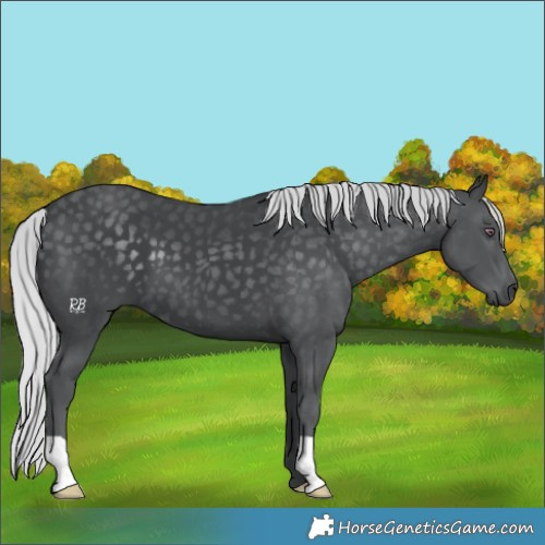 Horse Color:Silver Black Chinchilla 