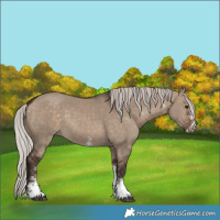 Horse Color:White Spotted Silver Brown Dun Tobiano 