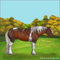 Horse Color:Silver Brown Tobiano 