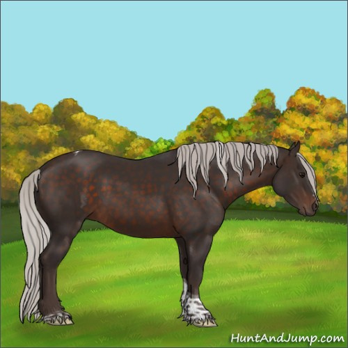 Horse Color:Silver Brown Sabino Tobiano 