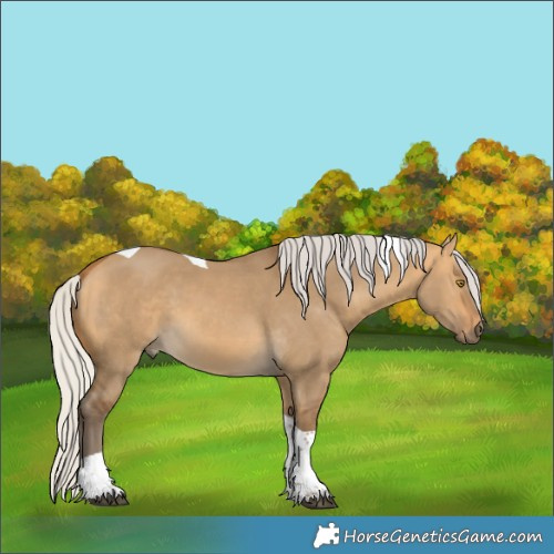 Horse Color:Silver Buckskin Dun Tobiano 