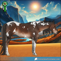 Horse Color:White Spotted Liver Chestnut Tobiano 