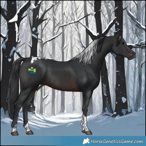 Horse Color:Brown Tobiano Rabicano 