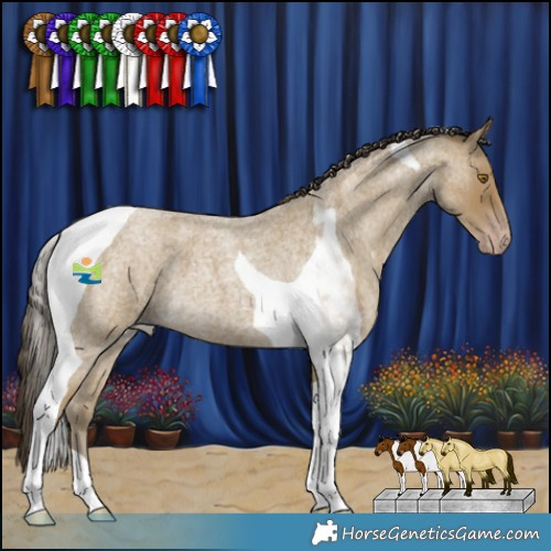 Horse Color:Classic Cream Champagne Roan Tobiano 