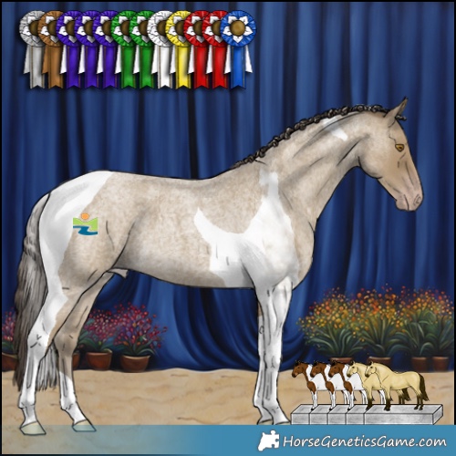 Horse Color:Classic Cream Champagne Roan Tobiano 